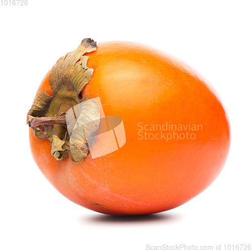 Image of Persimmon fruit