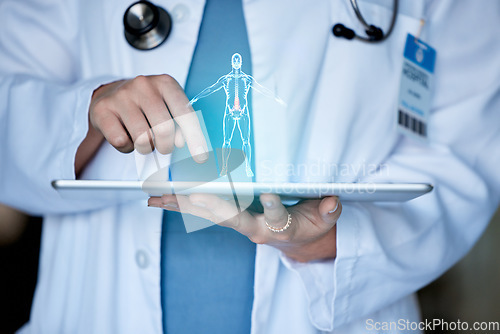 Image of Doctor hands, tablet and body hologram for 3d analysis, healthcare or future medical development. Medic, holographic tech or model of anatomy research in clinic office for innovation with digital ux