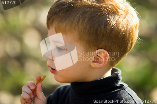 Image of A little boy eating short stick 