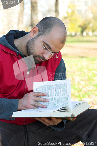 Image of student reading book