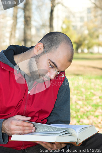 Image of student reading book 