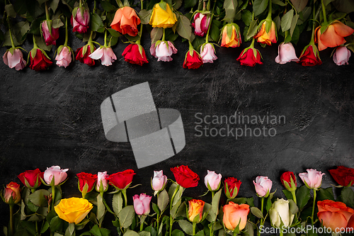 Image of Rose flowers composition