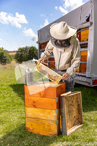 Image of Beekeeper checking honey