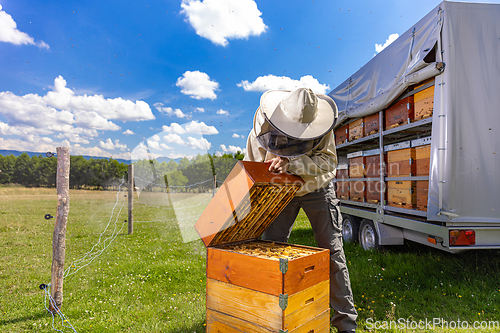 Image of Farmer wearing bee suit