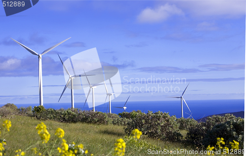 Image of eolic generators in a wind farm