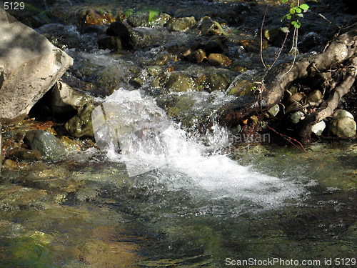 Image of White water