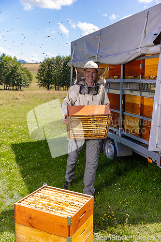 Image of Collect honey concept.