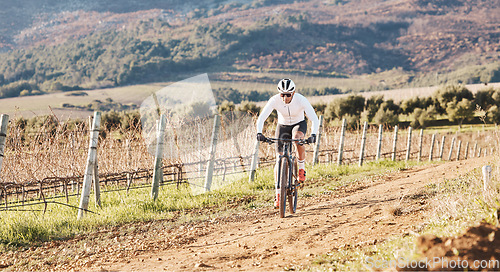 Image of Man, bicycle and cycling on gravel in nature, countryside and training for triathlon, sports and power. Cyclist, mountain bike and off road path for marathon fitness, exercise and freedom in sunshine