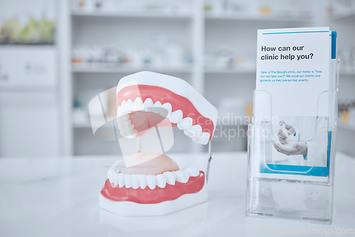 Image of Dental, healthcare and model of teeth in clinic for medical, smile dentures and orthodontics. Insurance, cleaning and consulting with pamphlet in pharmacy store for medical, information and wellness