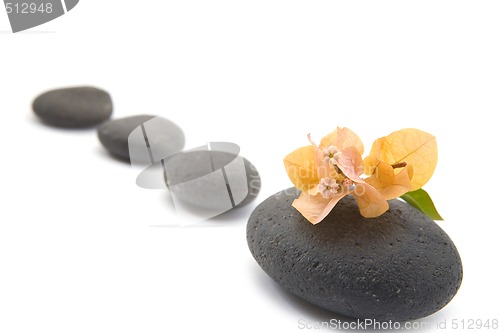 Image of zen stones with bouganvilla flowers isolated.