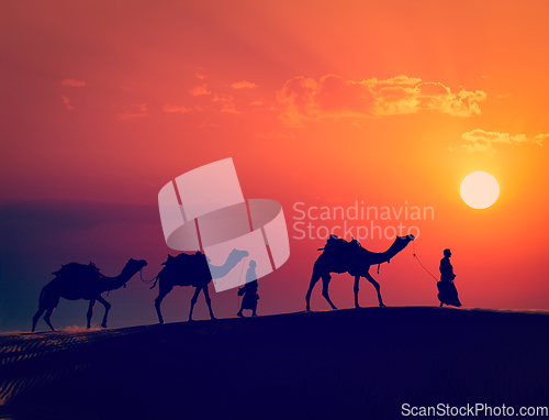 Image of Two cameleers with camels in dunes of Thar deser