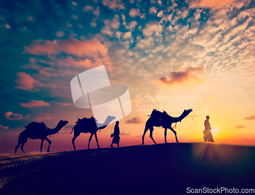 Image of Two cameleers camel drivers with camels in dunes