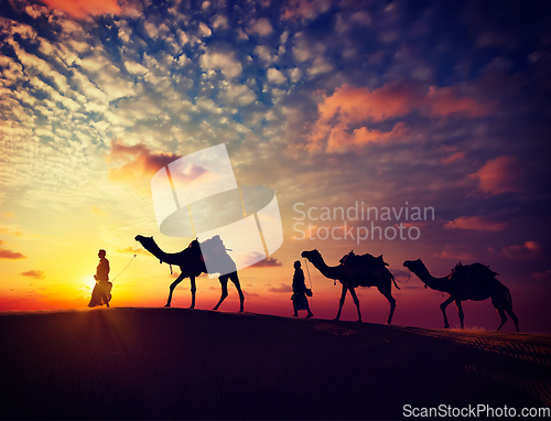 Image of Two cameleers with camels in dunes of Thar deser