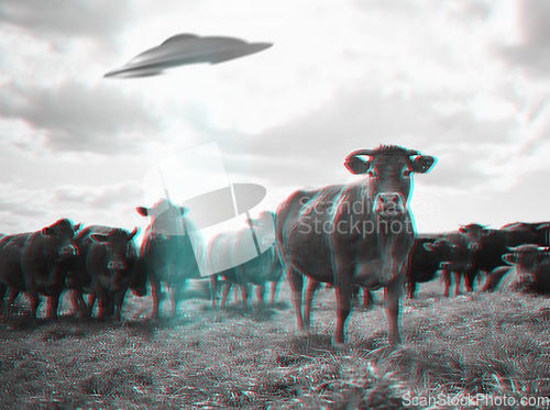 Image of Alien abduction, spaceship and UFO with cow in field for fantasy, science fiction and space invasion. Extraterrestrial, travel and flying saucer beam on cattle farm for discovery, explore and mystery