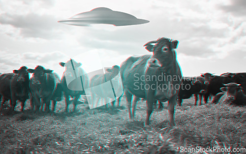 Image of Alien, spaceship and UFO with cow on farm for fantasy, science fiction and space invasion. Extraterrestrial, countryside and flying saucer beam on cattle ranch for discovery, abduction and mystery