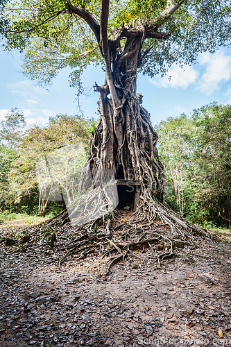 Image of Sambor Prei Kuk temple ruins, Cambodia