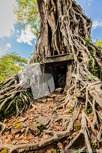 Image of Sambor Prei Kuk temple ruins, Cambodia