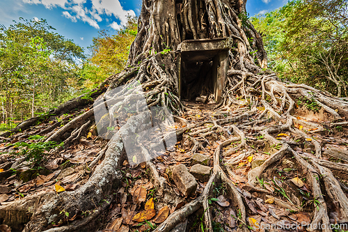 Image of Sambor Prei Kuk temple ruins, Cambodia