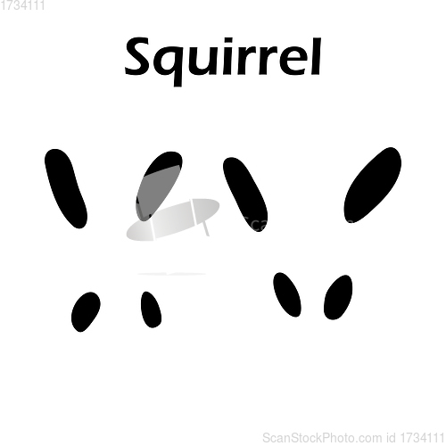 Image of Squirrel Footprint