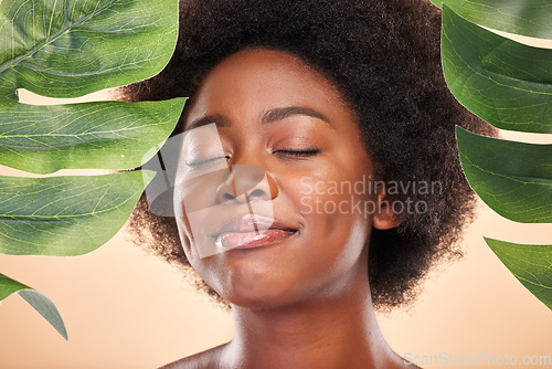 Image of Happy woman, face and monstera for beauty, natural cosmetics or eco friendly wellness on studio background. African model, green plant leaves and sustainability of vegan dermatology, skincare or glow