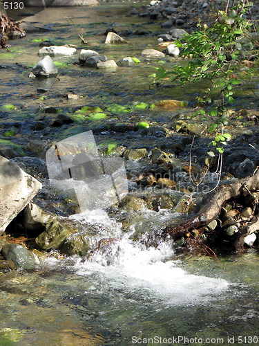 Image of Water on the move