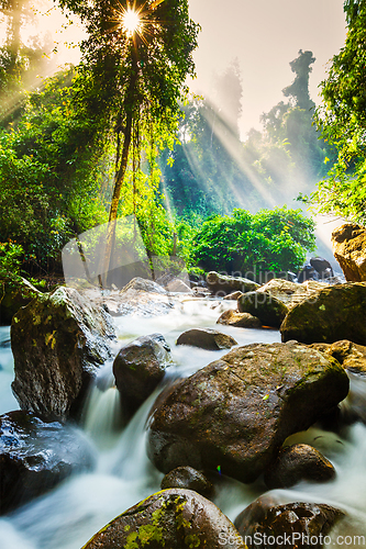 Image of Tropical waterfall