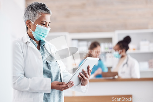 Image of Hospital, doctor and woman with tablet, connection and network with telehealth, search internet and email notification. Person, medical professional and surgeon with technology, mask and research