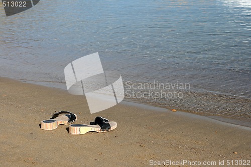 Image of sea slippers