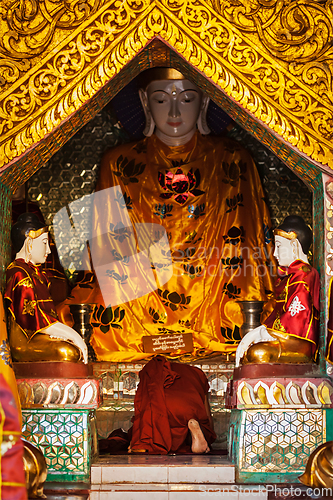 Image of Buddhist monk praying in Shwedagon pagoda