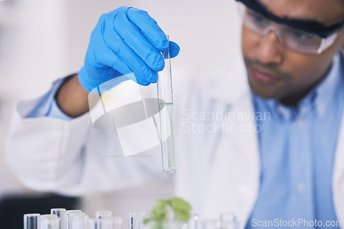 Image of Science, nature and man with test tube in laboratory, research and thinking with plants. Biotechnology, pharmaceutical study and scientist with leaf, lab technician checking green solution in glass.