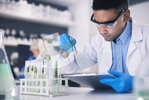 Image of Science, plants and man with checklist in laboratory, research and thinking with nature. Biotech, pharmaceutical study and scientist with clipboard, lab technician checking solution in test tube.