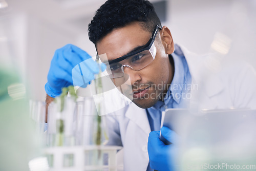 Image of Research, plants and man with test tube in laboratory, science and thinking with nature. Biotechnology, pharmaceutical study and scientist with leaf, lab technician checking green solution in glass.