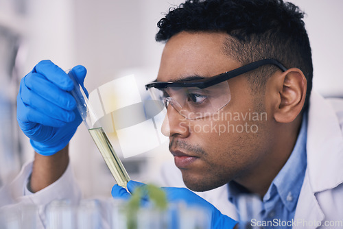 Image of Science, man and green solution in test tube in laboratory, research and thinking with plants in nature. Biotechnology, eco study and scientist with leaves, lab technician checking leaf in glass.