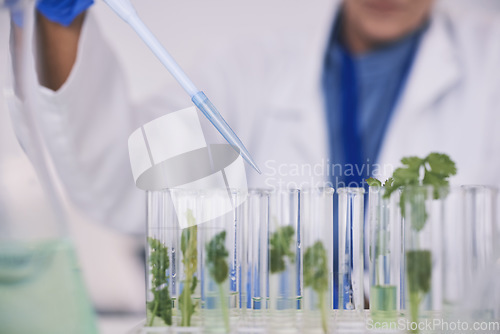 Image of Science, leaves and hands with test tube in laboratory, research and thinking with nature. Biotechnology, pharmaceutical study and scientist with leaf, lab technician checking green plants in glass.