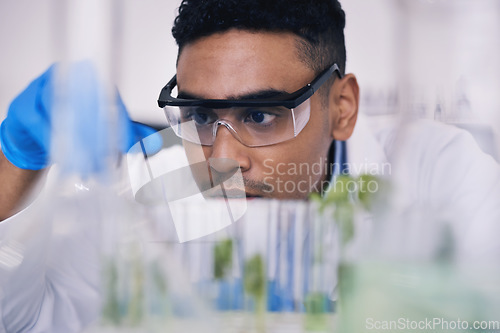 Image of Science, nature and man with test tube in laboratory, research and thinking with plants. Biotechnology, pharmaceutical study and scientist with leaf, lab technician checking green solution in glass.