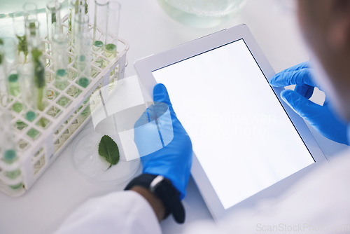 Image of Scientist, plants and mockup on tablet screen in laboratory for data analysis, eco research or sustainable app. Closeup, hands and digital space for biotechnology, science test or biology information