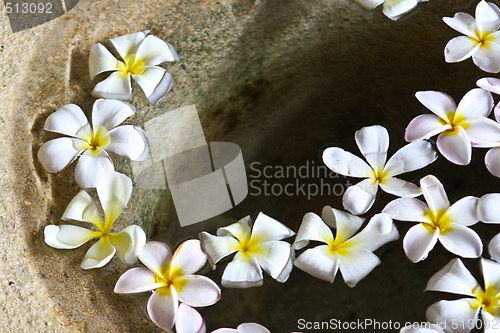 Image of Floating flowers