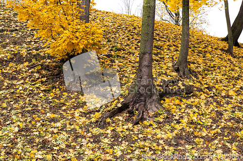 Image of European autumn