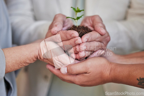 Image of Support hands, plants and palm of business people with climate change help, agro community service or agriculture development. Future investment, company carbon footprint or group environment project