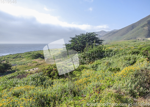 Image of idyllic coastal scenery in California