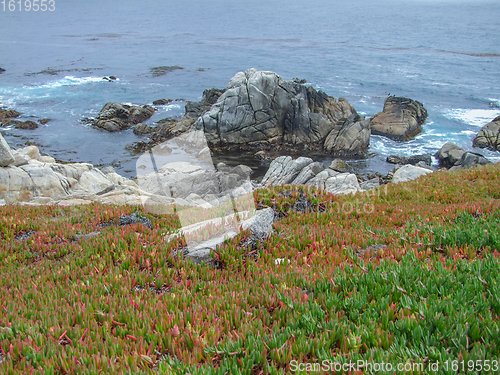 Image of idyllic coastal scenery in California