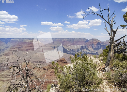 Image of Grand Canyon in Arizona