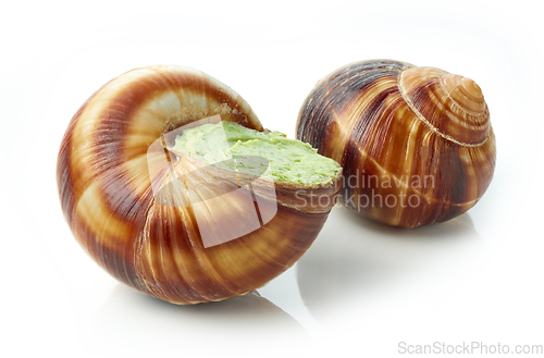 Image of escargot snail filled with garlic and parsley butter