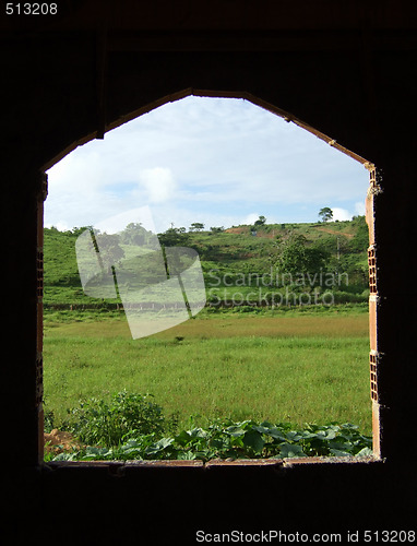 Image of Looking through the window