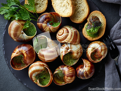 Image of plate of baked escargot snails filled with parsley and garlic bu