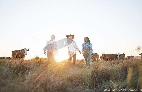 Image of Cow, farm and employees in countryside working and helping on cattle, live stock or sustainable farming with women. Farmer, manager and pointing worker to animals, grass, grain or rural environment