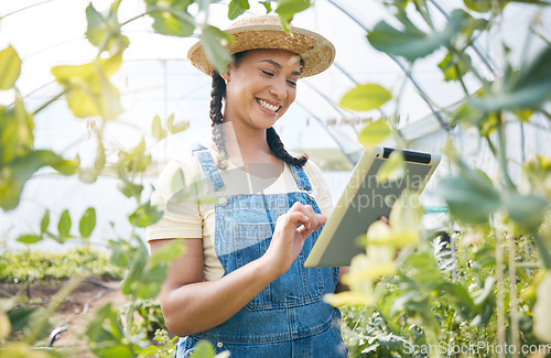 Image of Woman, farmer or tablet in greenhouse for agriculture, gardening or sustainability of plants. Happy worker, digital tech or farming app for organic food production, inspection or sustainable business