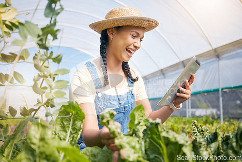 Image of Farmer, happy woman and tablet in greenhouse, agro business results and vegetables or agriculture e commerce. Young worker farming, reading news and sales on digital tech, food and gardening progress