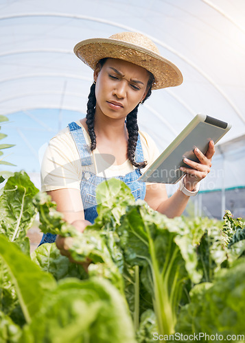 Image of Farmer, thinking and tablet for greenhouse plants, growth inspection and vegetables development in agriculture. Young woman farming, quality assurance and digital tech for food or gardening progress