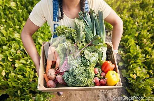 Image of Person, hands and vegetables box for agriculture, sustainability and farming, product growth and agro business. farmer with green harvest and gardening for commerce, food and groceries basket above